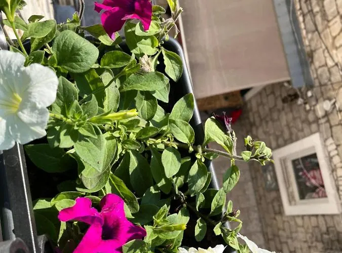 ゲストハウス Vale