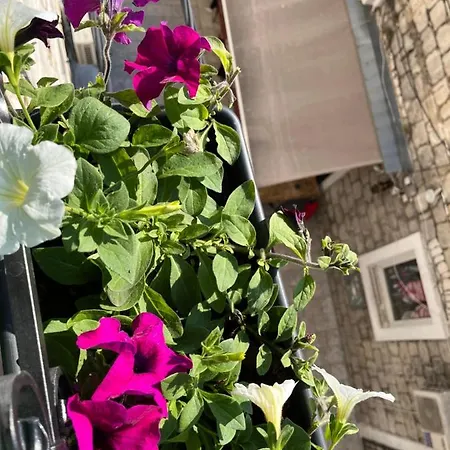 בית הארחה Vale